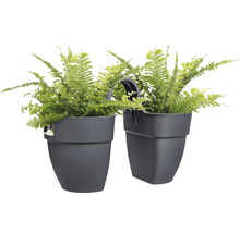 Blumenkasten elho Vibia Campana Flower Twin 21 Kunststoff 21 x 38,4 x 26,5 cm anthrazit