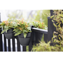 Blumenkasten elho Vibia Campana Flower Twin 21 Kunststoff 21 x 38,4 x 26,5 cm anthrazit