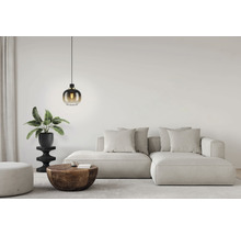 Wohnzimmer mit Sofa, Couchtisch, Zimmerpflanze und Pendelleuchte