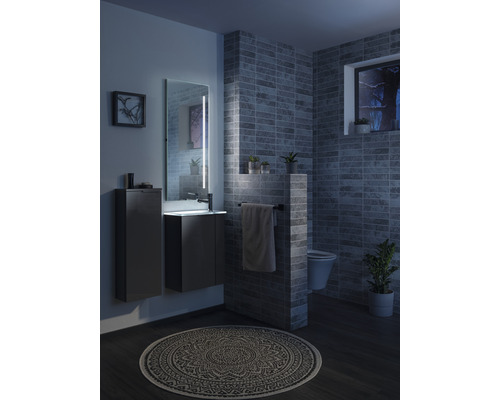 Badezimmer mit Waschbecken, Spiegel mit Beleuchtung, Toilette, Handtuchhalter und rundem Teppich