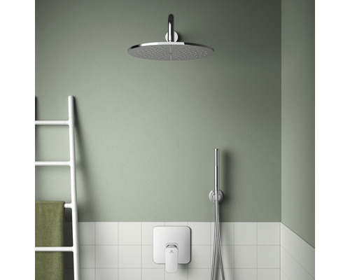 Duschkopf mit Handbrause und Handtuchleiter im Badezimmer