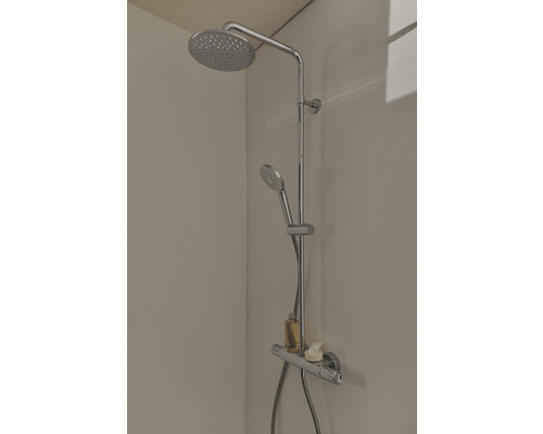 Brausegarnitur mit Kopfbrause und Handbrause im Badezimmer