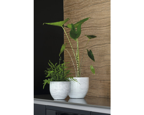 Zwei Zimmerpflanzen in strukturierten Übertöpfen auf einer Oberfläche