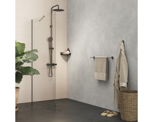 Badezimmer mit Dusche, Handtuchhalter und Zimmerpflanze