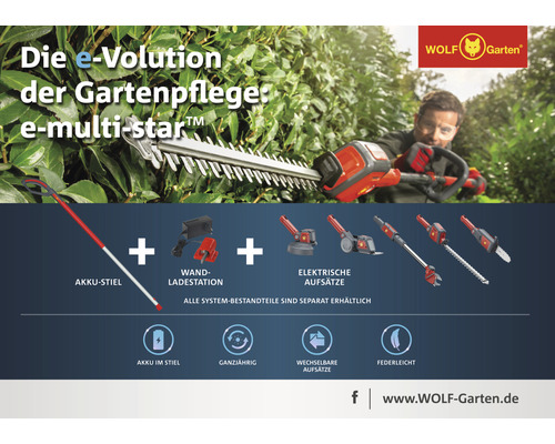 Wolf Garten e-multi-star Gartengeräte Set mit Akku-Stiel, Wandladestation und elektrischen Aufsätzen