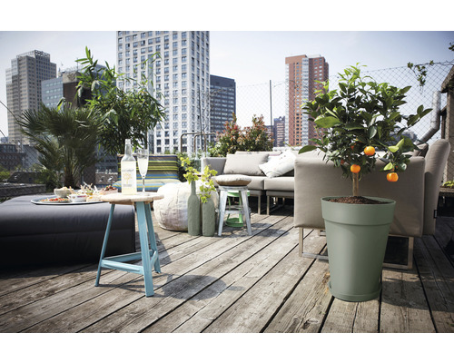 Terrasse mit Möbeln, Getränken, Snacks und einem Mandarinenbaum in einem Topf