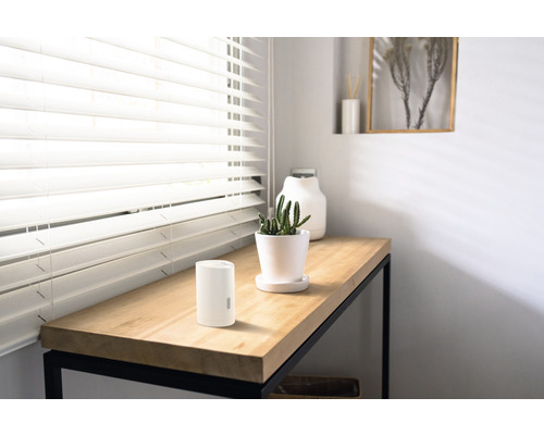 Dekoratives Zimmer mit Luftbefeuchter auf einem Tisch