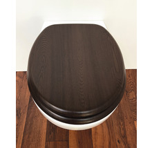 Toilettendeckel aus Holz auf einer Toilette