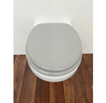 Wand-WC mit grauem WC-Sitz auf Holzboden