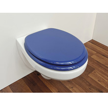 Wand-WC mit blauem WC-Sitz