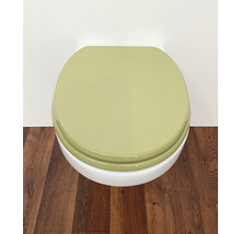 Toilette mit geschlossenem Deckel