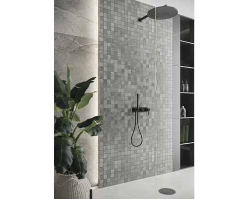 Duschbereich mit Mosaikfliesen, Duschkopf und Pflanze im Korb