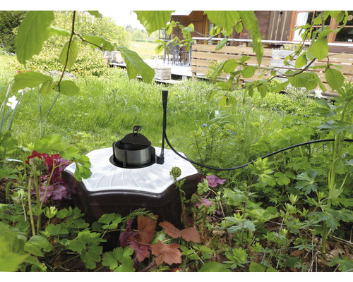 Mückenbekämpfungsfalle im Gartenbereich zur Insektenkontrolle.