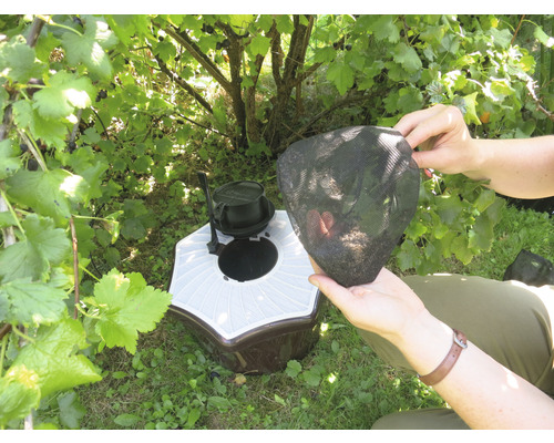 Blick auf eine Insektenfalle im Garten mit einer Person, die ein schwarzes Netz hält.