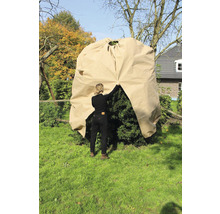 Eine Frau deckt im Garten einen Busch mit einer Pflanzenhaube ab.