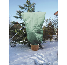 Eingepflanzte Tanne mit Frostschutzhaube im Wintergarten