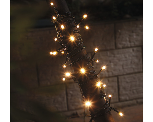 Lichterkette um einen Ast gewickelt mit warmweißem Licht