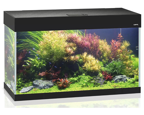 Aquarium AQUEL OPTI SET 125 mit Abdeckung und Beleuchtung, 81 x 36 x 51 cm, schwarz