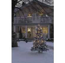 Verschneiter Weihnachtsbaum mit Kerzen vor einem Haus im Winter