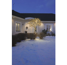 Ein Haus mit einem Baum, der mit einer Lichterkette geschmückt ist, im Schnee.