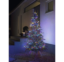 Micro | Weihnachtsbaum HORNBACH LED Lichterkette Konstsmide