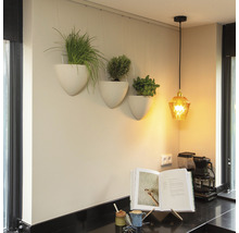 Aufhängezubehör Hängeblumentopf Botaniq 1,25 l grün
