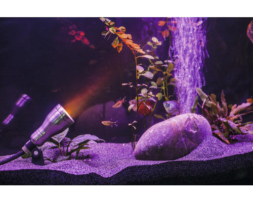 Aquarium mit Beleuchtung, Pflanzen, Steinen und Fischen