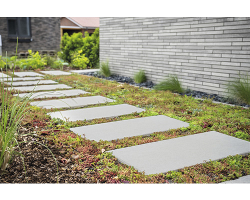 Beton Terrassenplatte zementgrau mit Fase 60 x 30 x 4 cm