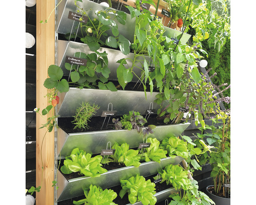 Vertikaler Garten mit Erdbeeren, Kräutern und Salat in Pflanzgefäßen