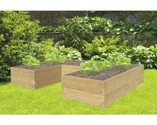 Zwei erhöhte Gartenbeete aus Holz mit Pflanzen im Garten.