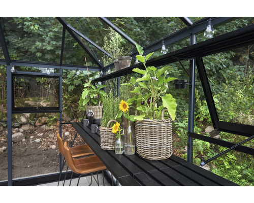 Gewächshaus-Interieur mit Pflanzen in Körben auf einem Tisch