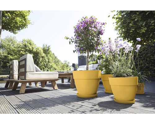 Terrasse mit Gartenmöbeln und bepflanzten Pflanzgefäßen