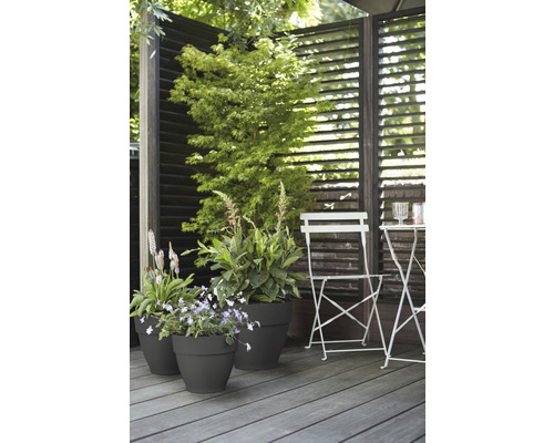 Gestalteter Außenbereich mit Pflanzen in Töpfen, einem Gartentisch und Stuhl vor einem Sichtschutz