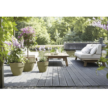 Terrassenszene mit Pflanzen in Blumentöpfen, Couch und Tisch