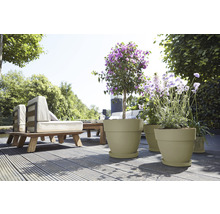 Terrasse mit Gartenmöbeln und bepflanzten Pflanzkübeln