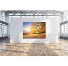 Wandtuch Goldener Baum 224x160 cm
