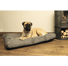 Hund liegt auf einem Hundebett im Innenbereich