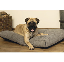 Hund liegt auf einem grauen Hundebett.