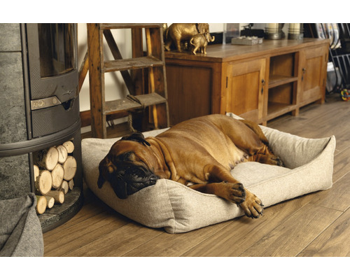 Hund schläft in einem Hundebett neben einem Holzofen in einem Wohnzimmer.