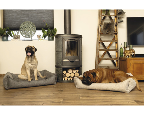 Zwei Hunde entspannen in ihren Hundebetten vor einem Kaminofen im Wohnzimmer.