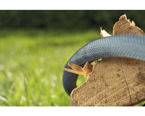 Blauer Gartenschlauch auf einem Holzstück im Garten