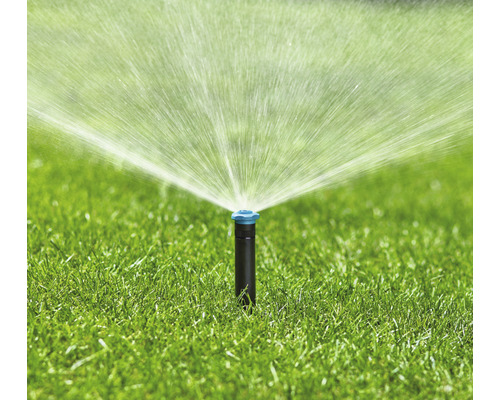 Rasensprenger bewässert Rasenfläche