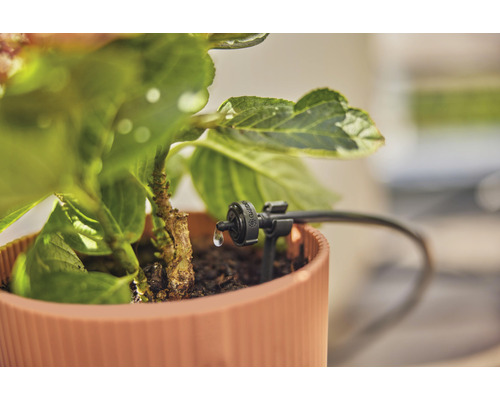 Tropfbewässerung im Blumentopf für die Gartenbewässerung