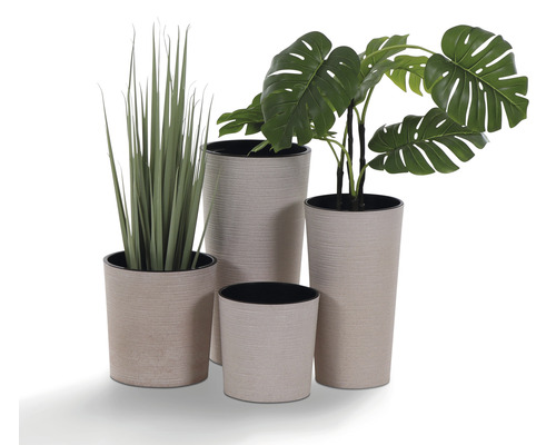 Arrangement aus vier Pflanzgefäßen mit Pflanzen