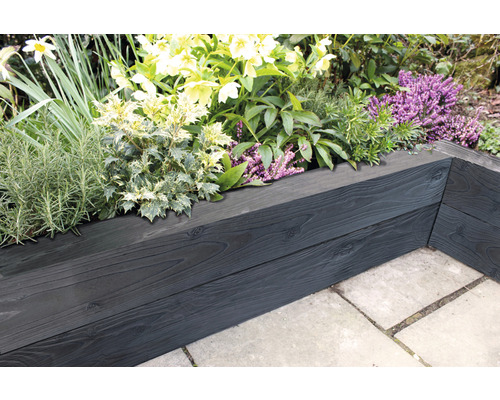 Hochbeet aus Holz mit verschiedenen Pflanzen