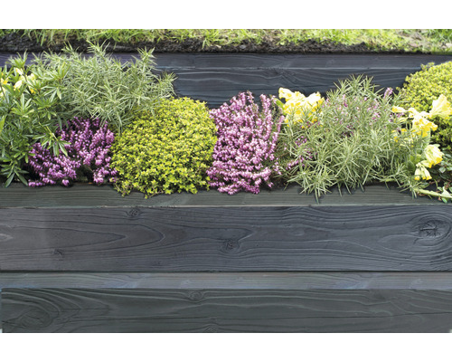 Hochbeet aus Holz mit verschiedenen Pflanzen