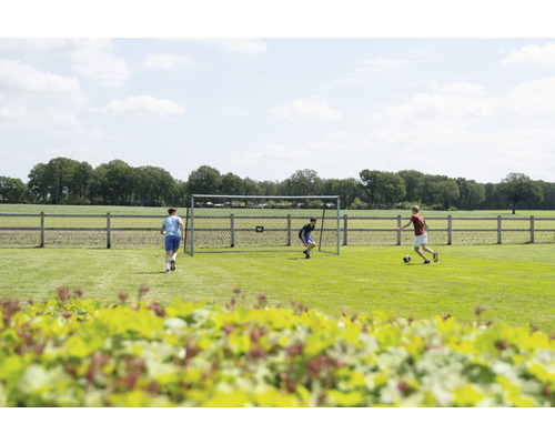 Fußballspiel mit Fußballtor auf Rasenfläche