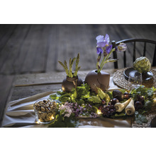 Dekorativer Tisch mit Blumen, Gemüse und Obst