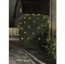 Beleuchteter Busch mit Lichterkette im Garten.