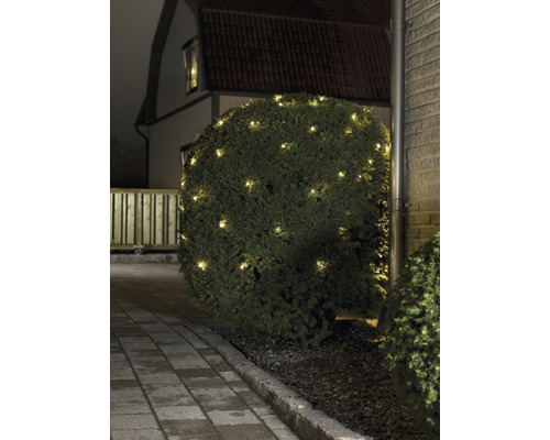 Beleuchteter Busch mit Lichterkette im Garten.